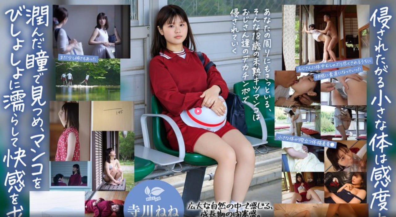 善良的小峓子4在线线免费メイリン モデルコレクション18🈲